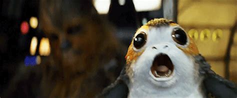 Porgs Everything Youll Want To Know About The Last Jedi Breakouts