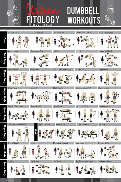 Urban Fitology Dumbbell Exercise Workout Poster For Men And Women