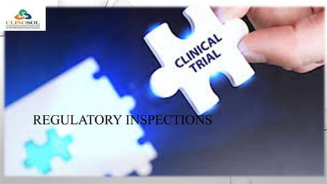 Regulatory Inspections Ensure Data Integrity And Patient Safety Ppt
