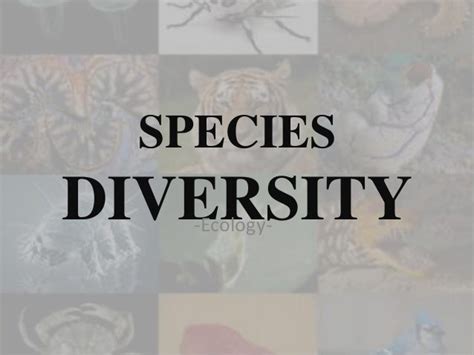 Species Diversity