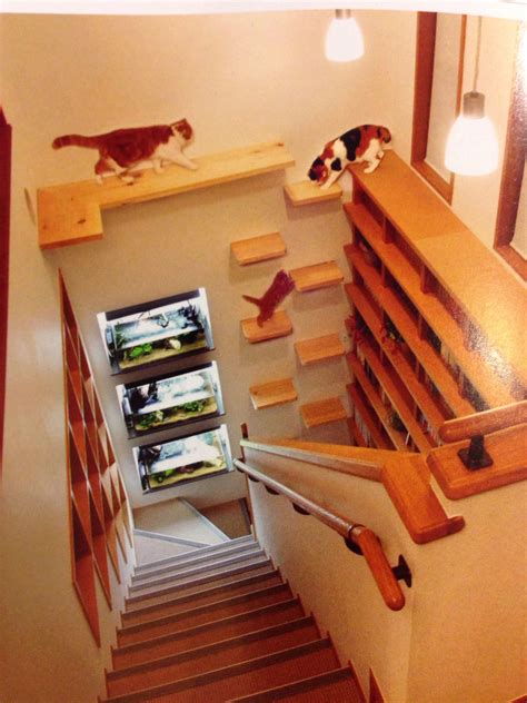 Cat ramp cat stairs cat climber diy cat toys cat towers cat shelves cat enclosure reptile enclosure cat playground. DIY Cat Climbing wall | Katzen spielplatz, Katzen