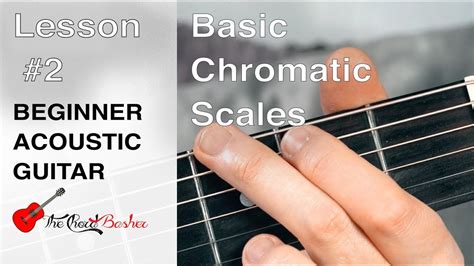 Beginner Guitar Chromatic Scale Lesson 2 Beginner Guitar Lesson