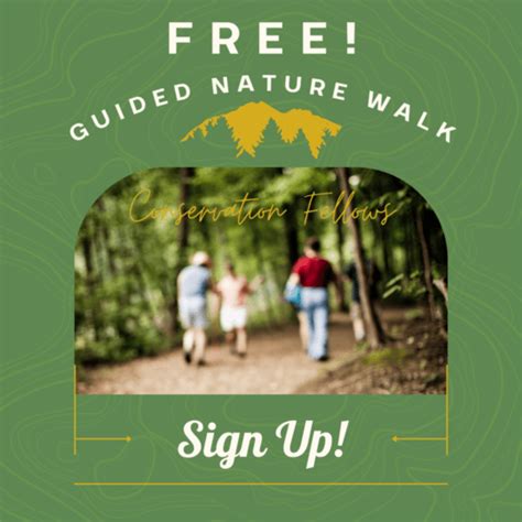 Conservation Fellows Host Guided Nature Walks The Escondido Creek