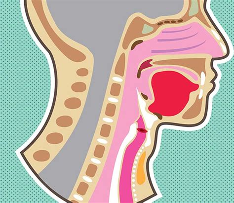 Vocal Cord Hemorrhage Uci Head And Neck Surgery Uci Ent Doctors