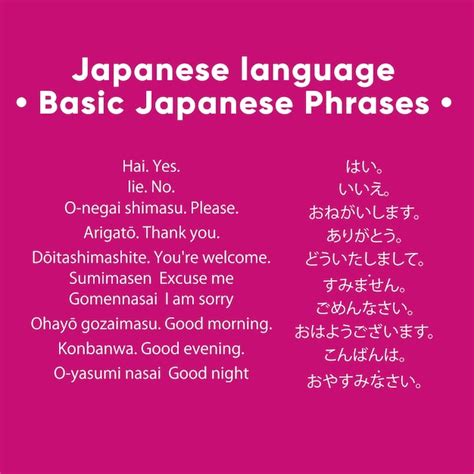Premium Vector Japanese Basic Phrases Learn Japanese Language