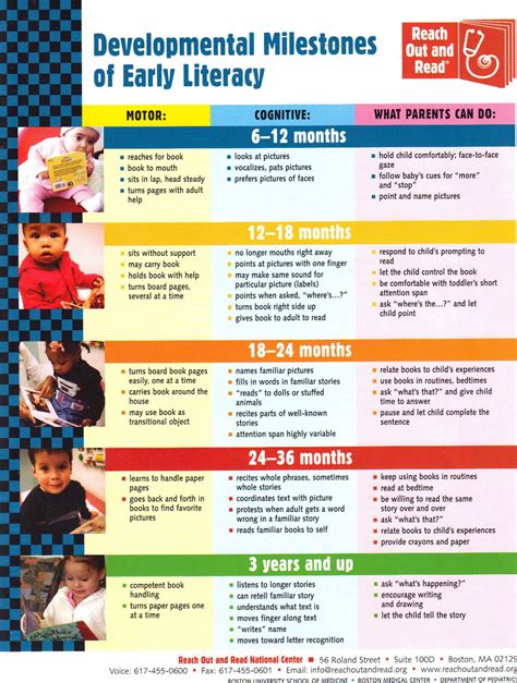 Developmental Milestones 12 18 Months Arini Nurul Yakin