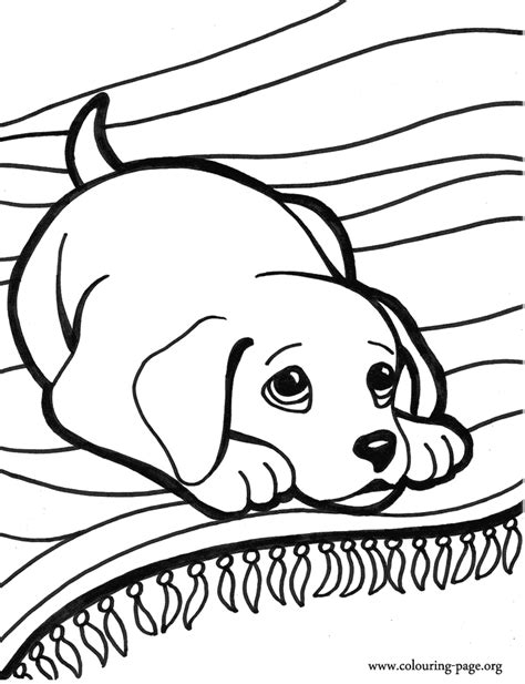 Cute Puppy Coloring Pages To Print Coloring Home