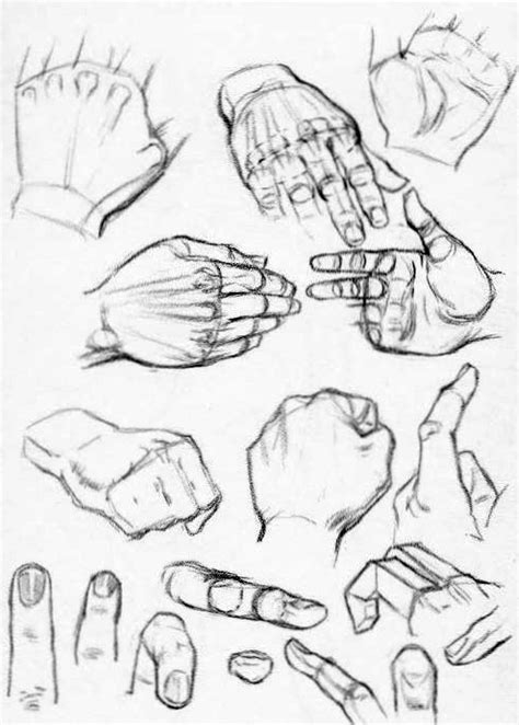 How To Draw The Knuckles Of The Hands Drawing Hands Hand Drawing