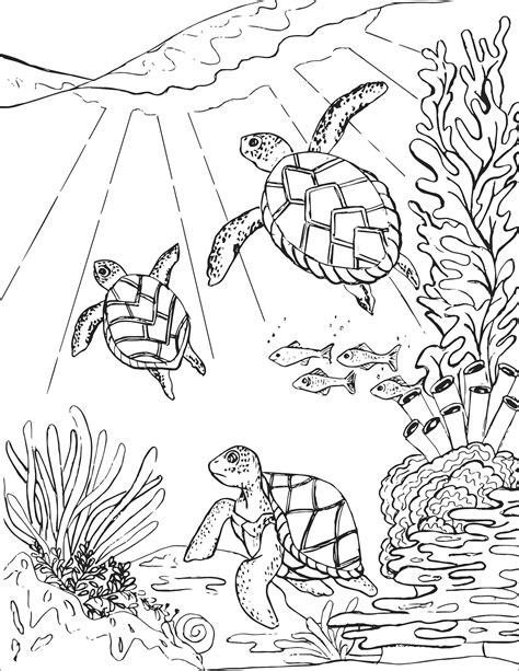 22 Coloring Pages Of Turtles For Adults