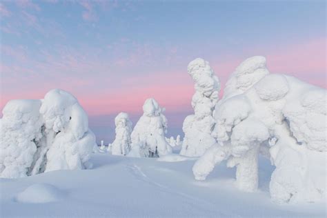 Lapland In Winter Most Wonderful Season Visit Finnish Lapland