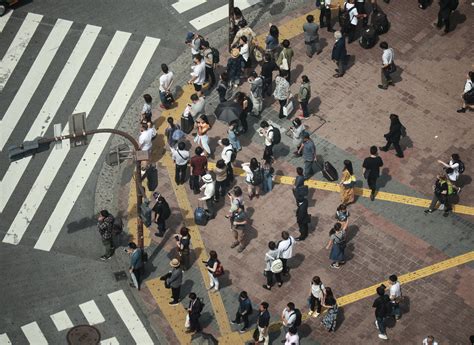 The Secret Viewpoint Above Shibuya Crossing — Nomader How Far