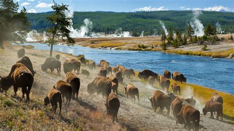 Luxury Yellowstone National Park Holidays And Tours 20242025