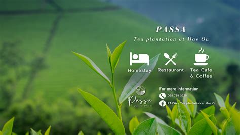 Passa Tea Plantation At Mae On