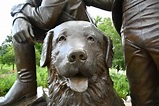 Seaman the Newfoundland dog at Lewis & Clark Monument, St … | Flickr