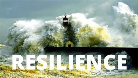 The physical property of material that can resume its shape after. Love for Resilience — JaredAngaza.com
