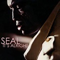Seal - It's Alright (2008, CDr) | Discogs