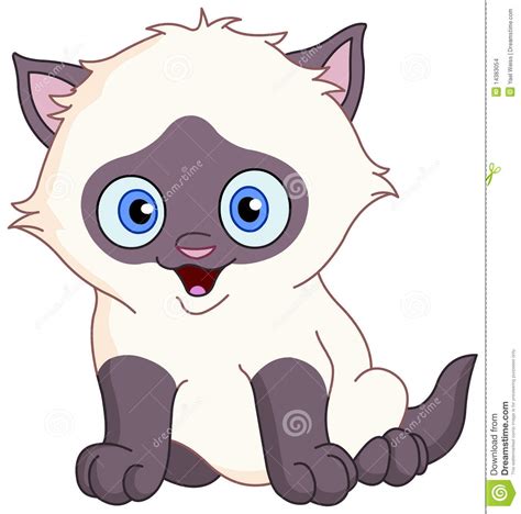 Siamese Kitten Stock Vector Illustration Of Humor Gray