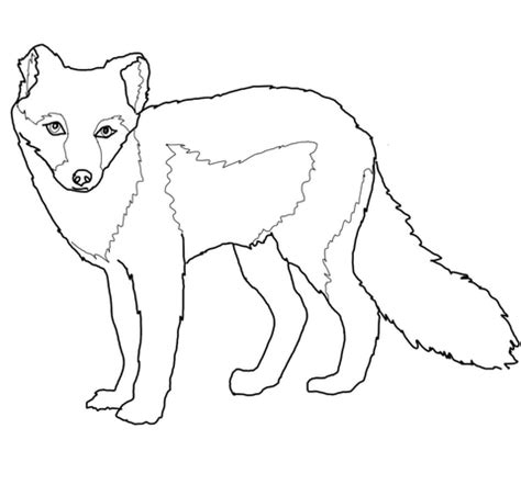 Select from 35657 printable coloring pages of cartoons, animals, nature, bible and many more. Arctic Fox Summer Coat coloring page | SuperColoring.com