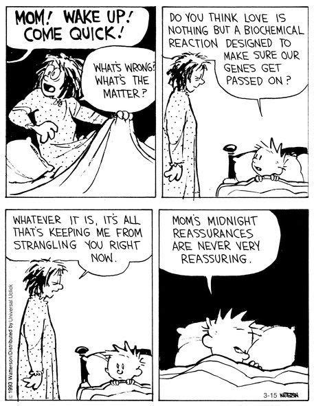 What Are Some Of The Funniest Calvin And Hobbes Comic
