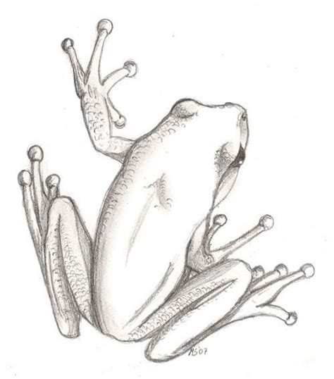 Tree Frog By Leoness On Deviantart Art Drawings Sketches Tattoo