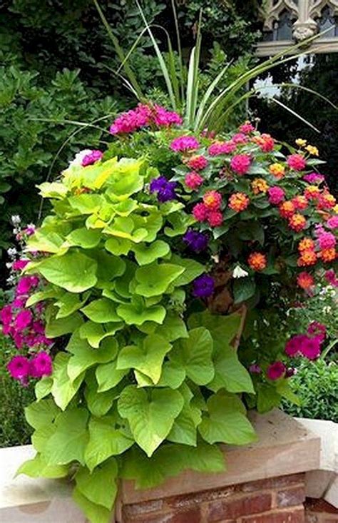 49 Fabulous Summer Container Garden Flowers Ideas Homespecially