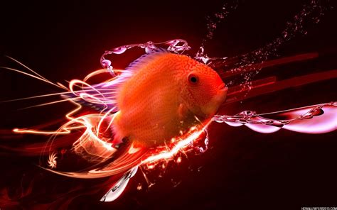 Fish 3d Wallpaper High Definition Wallpapers High Definition Backgrounds
