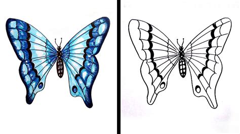 Do you think 3d drawing is difficult? How to Draw a Butterfly Easy Step by Step / Drawing for ...