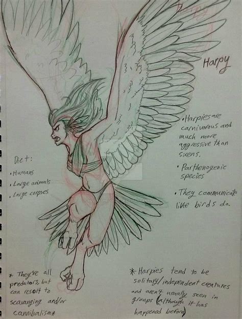 Harpy By Soumathedoodler On Deviantart