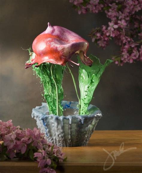 High Speed Liquid Flowers Photographed By Jack Long — Colossal High