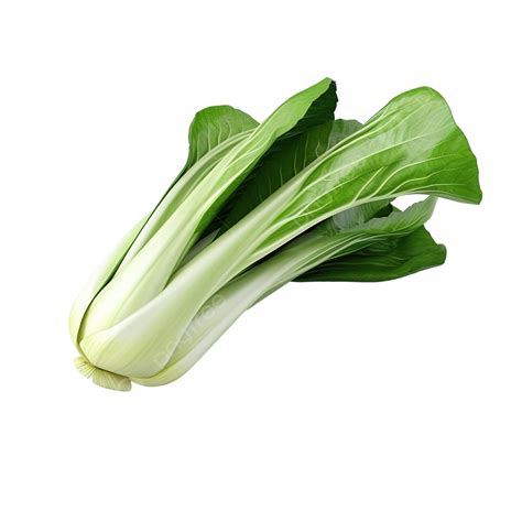 3d Render Bok Choy Object Cabbage Vegetable Food Png Transparent