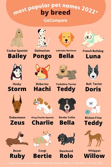 Will Ow You Guess Them All These Are The Most Popular Names For Dogs