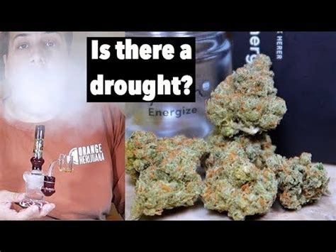 There are many different ways to consume. New way to get a medical card?! Drought in PA?? | Vlog ...