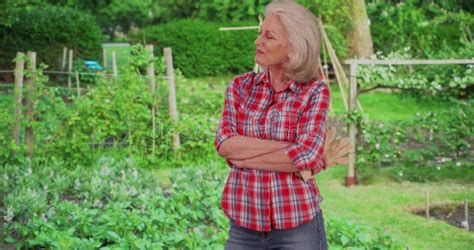 mature caucasian woman smiling in vegetable or herb garden happy with her work stock video