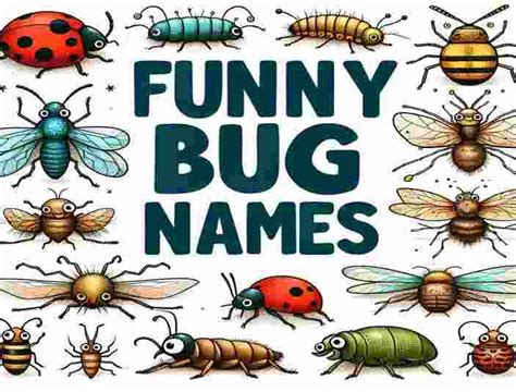 200 Funny Bug Names Hilarious Ideas