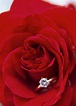 Diamond Roses Mined for Valentine’s Day