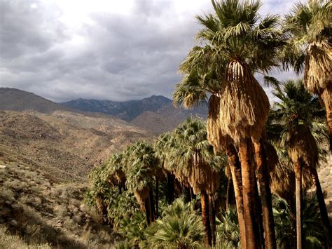 Palm Canyon Trail to Stone Pools – Palm Springs, California – Brian's hikes