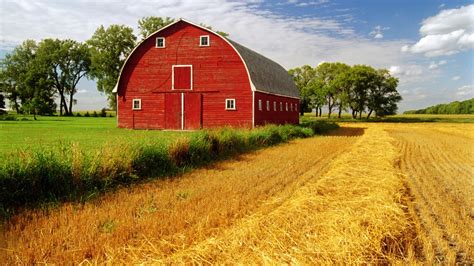 Barn Rustic Farm Landscapes Fields Crop Grass Sky Clouds Wallpaper