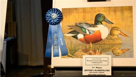 Duck Stamp Winner Unveiled At Festival Washington Daily News