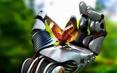 farfalle: tutto su questi insetti meravigliosi - Tuttogreen