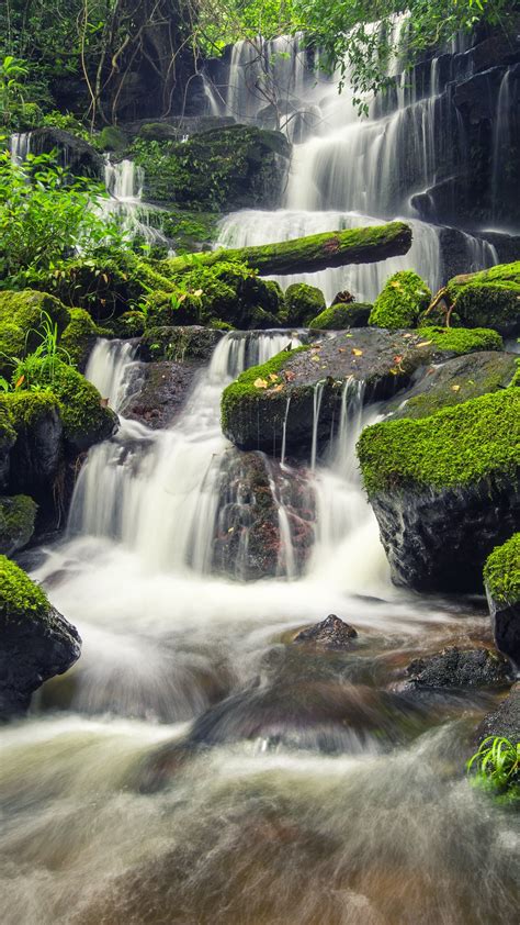 Waterfalls On Rocks Algae Covered Stones Green Plants Bushes 4k 5k Hd