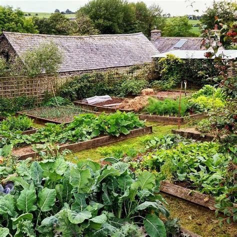 This Garden Reminds Me To My Grandmothers Garden Back When I Was Still