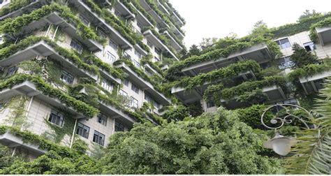 CHINA IS BUILDING SKYSCRAPERS FULL OF TREES