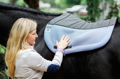 What Can I Do To Heal A Saddle Sore On My Horse Ecogold