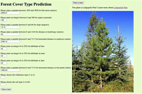 Forest Cover Type Prediction Devpost
