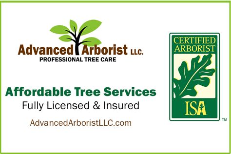What Are The Benefits Of Hiring A Certified Arborist Advanced