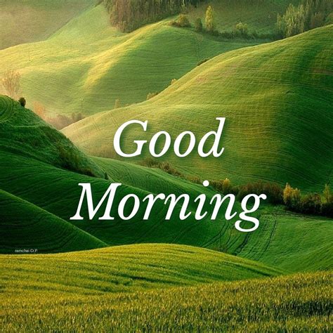 Good Morning Greetings Good Morning Wishes Good Morning Quotes Good