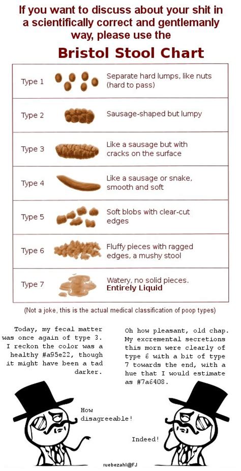 Everything You Need To Know About The Bristol Stool Chart