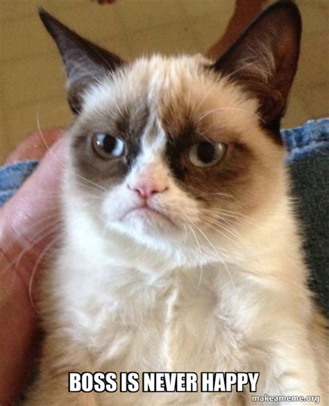 Boss Is Never Happy Grumpy Cat Make A Meme