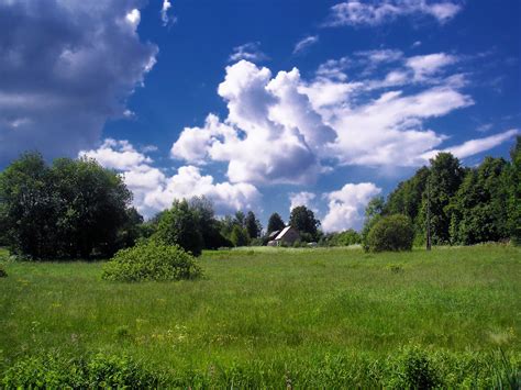 Free Images Landscape Tree Nature Forest Grass Cloud Sky Field