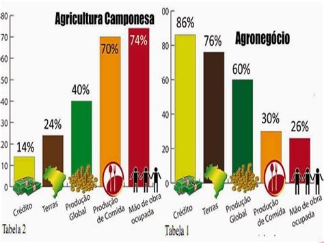 Dois Países Subdesenvolvidos De Economia Agropecuária Da América Central